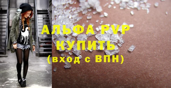 стафф Алзамай