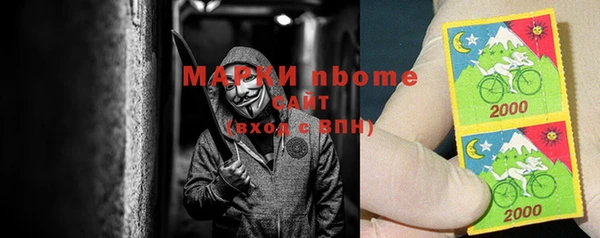 стафф Алзамай