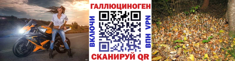 Галлюциногенные грибы прущие грибы  Рыбное 
